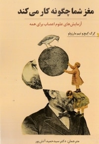 مغز شما چگونه کار می کند